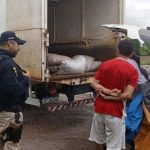 Carga de camarão imprópria ao consumo é apreendida em Ipixuna do Pará